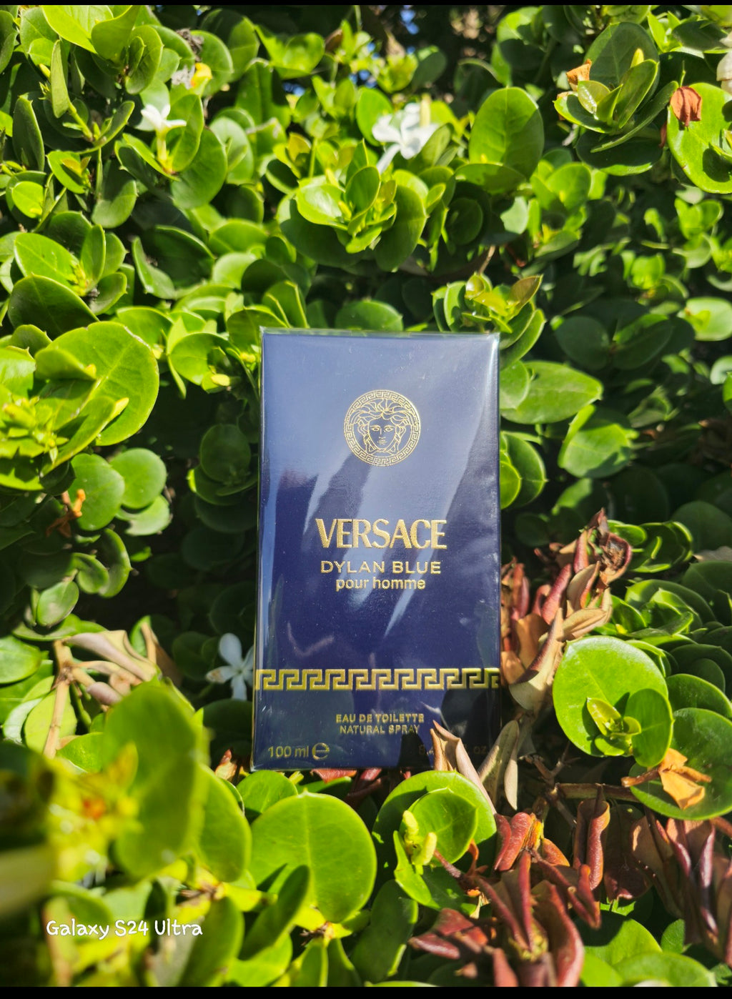 Versace Dylan Blue 3.4 oz EDT for men
